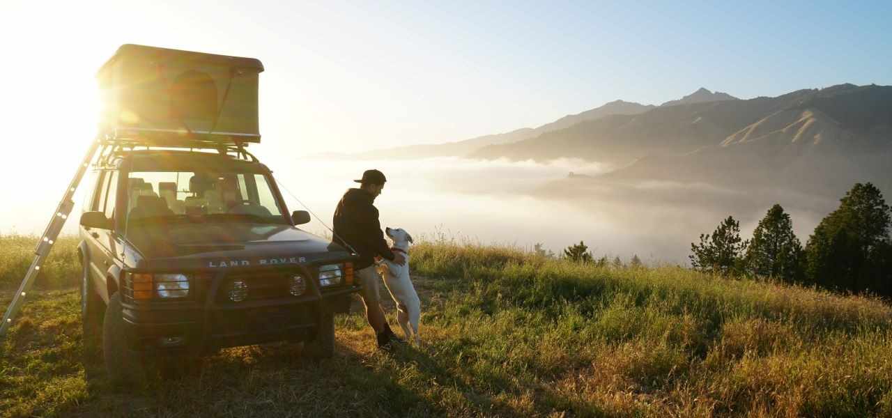 Five RVs your pet will love this summer