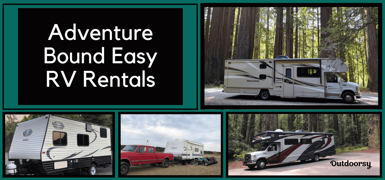 Owner of the Week: Michelle Ellsworth