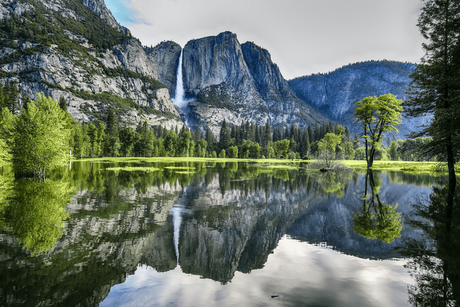 Visiting Yosemite National Park With Kids