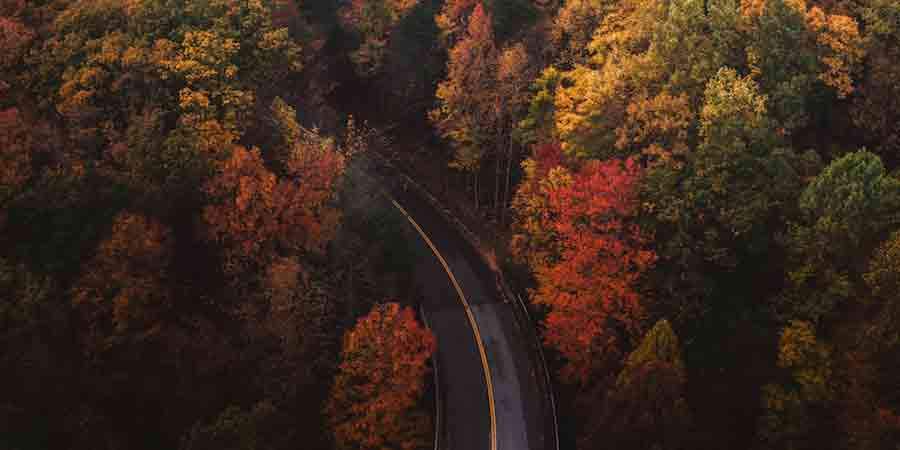 Seeking Fall Color In The Southwest