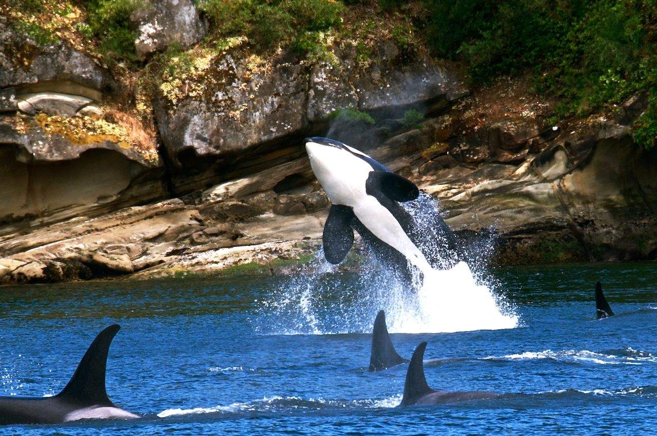Travel Guide to the San Juan Islands, WA