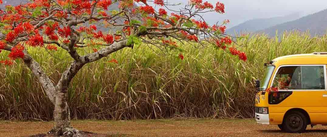 Life On The Road: Yellow Like Sunshine