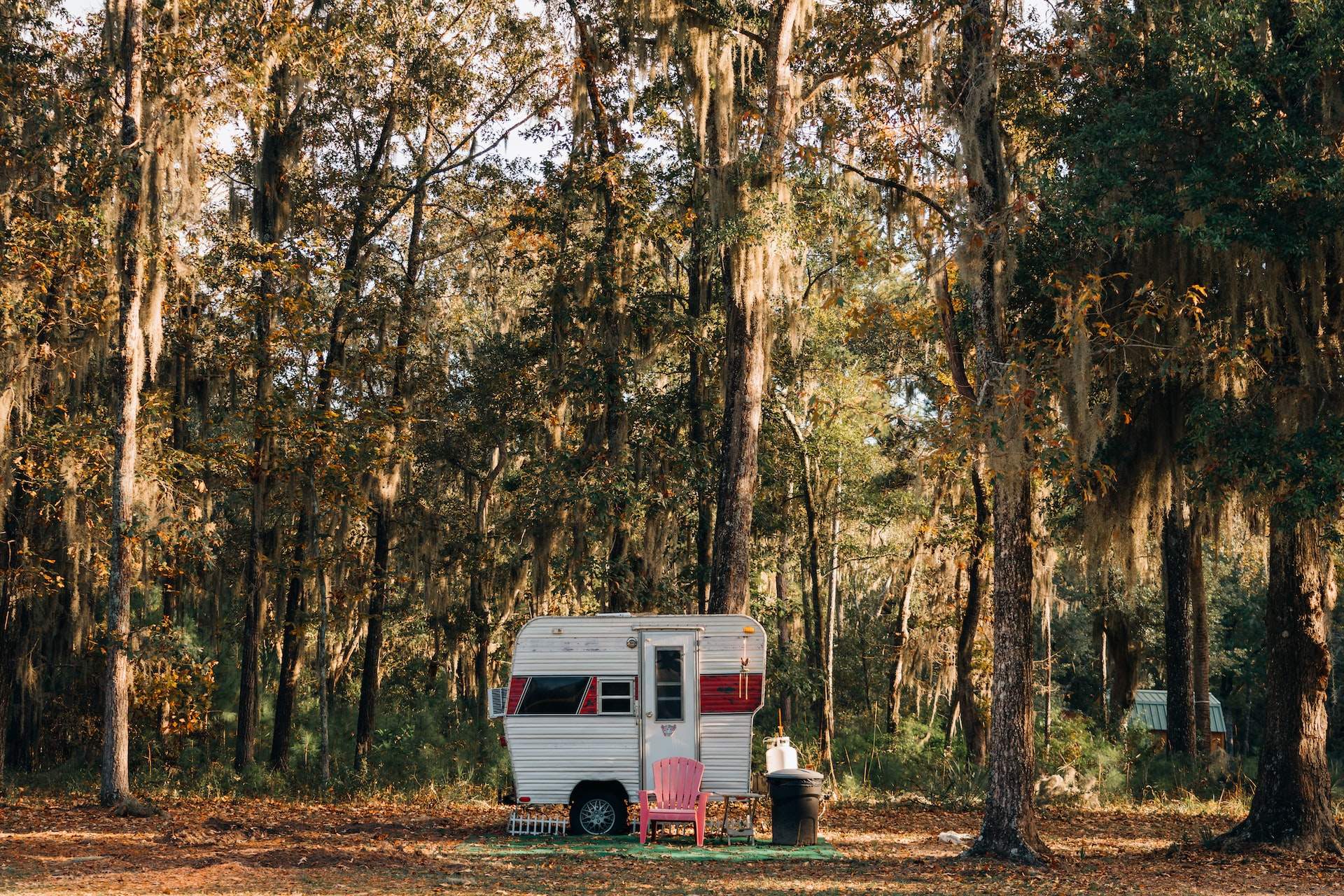 You’ve Got Options: Smallest RV with Shower and Toilet